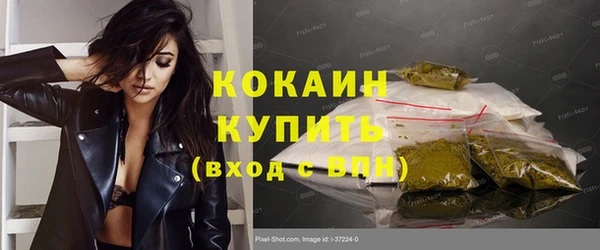 ПСИЛОЦИБИНОВЫЕ ГРИБЫ Верея