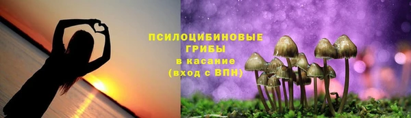 ПСИЛОЦИБИНОВЫЕ ГРИБЫ Верея