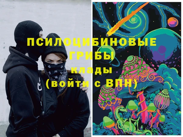 2c-b Слюдянка