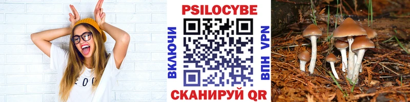 кракен зеркало  Северобайкальск  Псилоцибиновые грибы Cubensis  где продают  